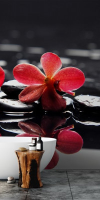 Poszter fiataloknak TPF280